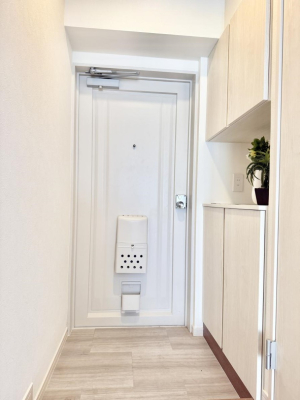 ���� ������ ��������n�܂����A�������萮��������