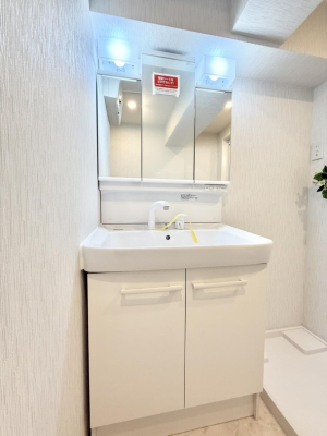 ���ʑ�E���ʏ� ���������̏������X���[�Y�ɂł���L���ł�