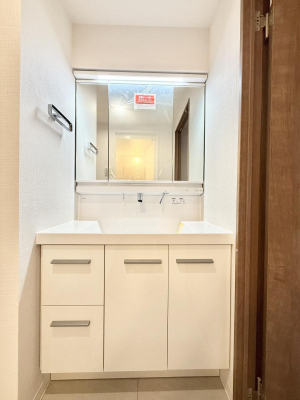 ���ʑ�E���ʏ� �������������Ő������̂�����ʏ�