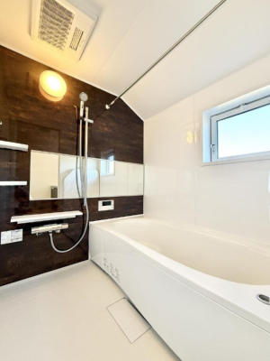 ���� �������������A������芰����o�X���[��