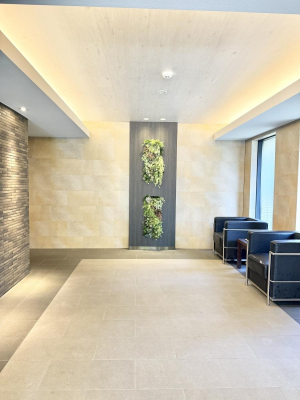 GgX OρA邽тɈS^ĂAJɊǗꂽL