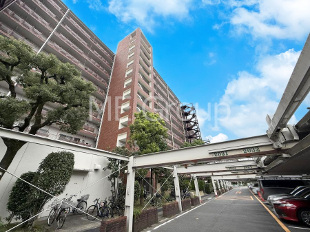 nOώʐ^ OρV炵n܂ꏊŁAƑJ[߂