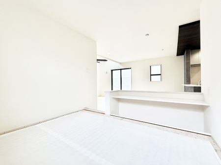 ���̑� ���������Ќ��n�ł�����������