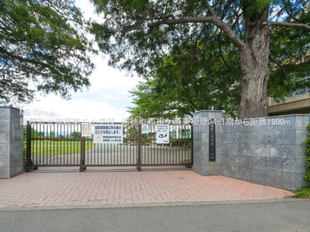 ӊ wZ 593m 䒬񏬊wZ