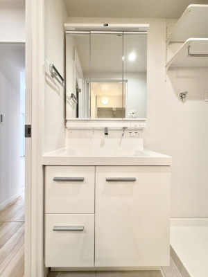 ���ʑ�E���ʏ� ���������̏������X���[�Y�ɂł���L���ł�