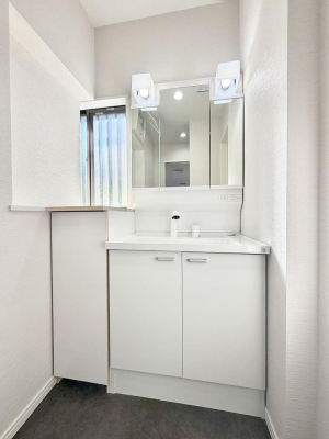 ���ʑ�E���ʏ� ���������̏������X���[�Y�ɂł���L���ł�