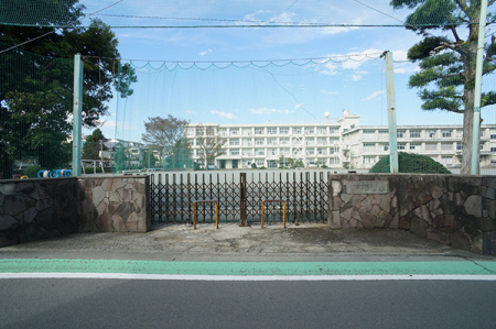 ӊ wZ 800m 쑫s⌴wZ