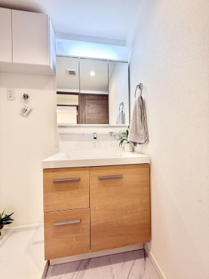 ���ʑ�E���ʏ� ���������̏������X���[�Y�ɂł���L���ł�