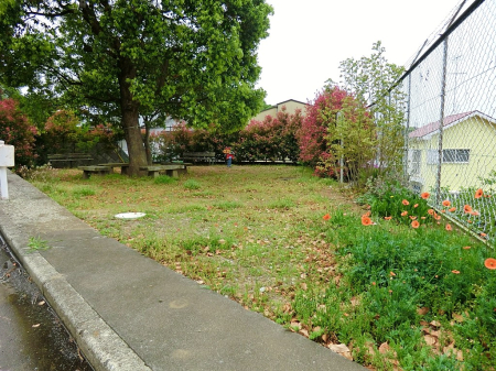 ���ӊ� ���� 1000m �Љ���׎R����