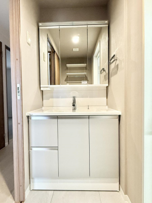 ���ʑ�E���ʏ� �������V���v���Ŕ������S�n�悢���Ԃ𐶂ރL�b�`�����