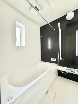 ���� ����