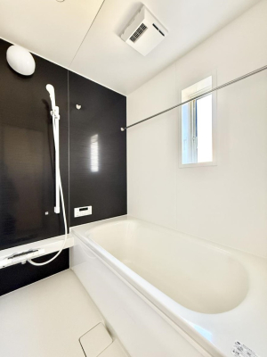 ���� ����