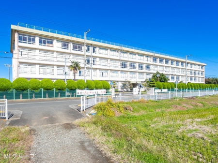 ӊ wZ 1700m ˎsZwZ