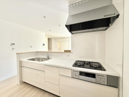 �L�b�`�� �������Ƒ����J��[�߂�A������̂���L�b�`��