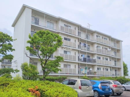 nOώʐ^ OρƑ݂ȂΊŉ߂AŜZ܂