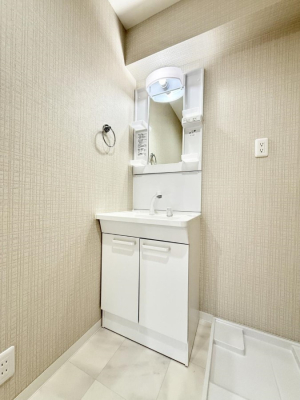 ���ʑ�E���ʏ� ���������̏������X���[�Y�ɂł���L���ł�