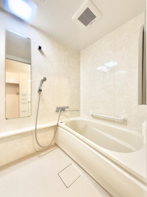 ���� �����������������F�����̕ǖʁA������芰����o�X���[��