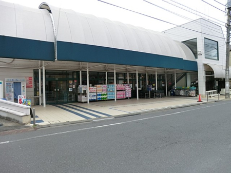 ӊ X[p[ 500m }tW_X