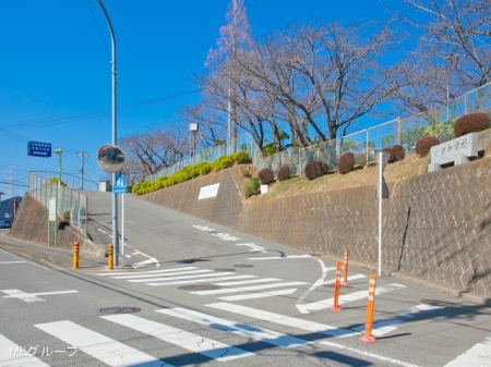 ���ӊ� ���w�Z 2000m �ɐ����s���������w�Z