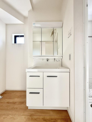 ���ʑ�E���ʏ� ���������̏������X���[�Y�ɂł���L���ł�