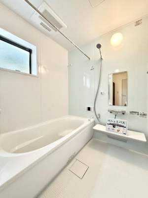 ���� �������������A������芰����o�X���[��