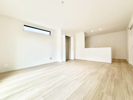 ���̑����� ����