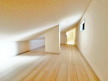 ���̑� ������+���̃X�y�[�X�I���t�g�t���I  