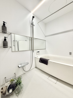 ���� �������������A������芰����o�X���[��