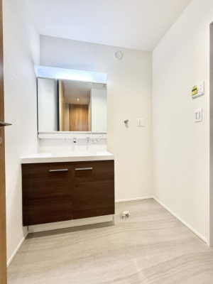 ���ʑ�E���ʏ� ���������̏������X���[�Y�ɂł���L���ł�