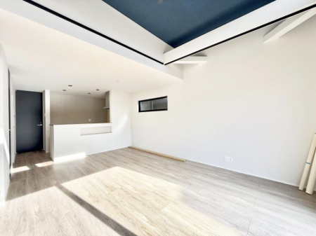 ���̑� ����