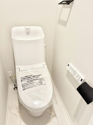 ���̑� ����