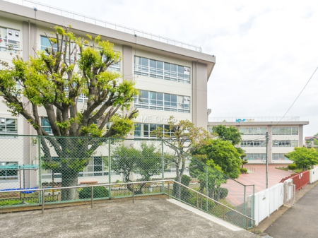 ���ӊ� ���w�Z 550m ���s���������w�Z