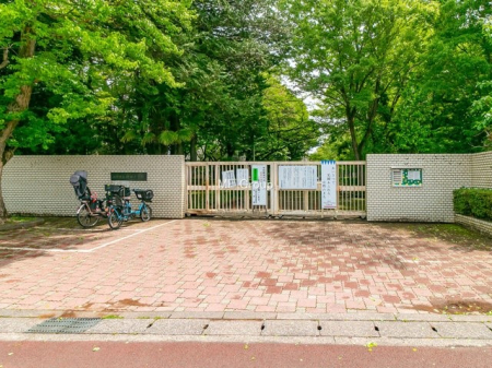 ���ӊ� ���̑����ʐ^ 600m �����@