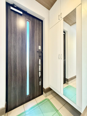 ���� ������ ��������n�܂����A�������萮��������