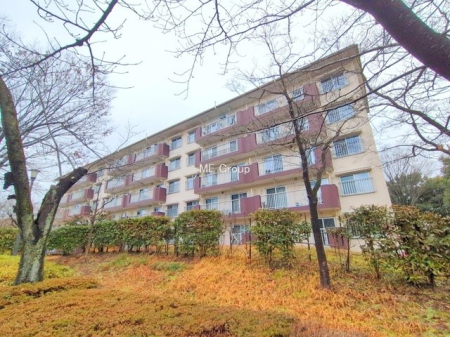 ���n�O�ώʐ^ �O�ρ��܂��͈�x������������