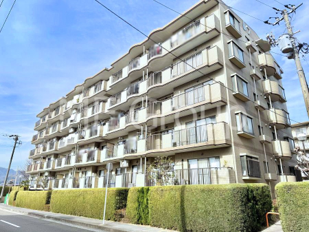 �G���g�����X �O�ρ��Z�܂����◈�q��S�n�悭�}����A���������p�X�y�[�X�����͂ł�