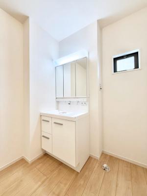 ���ʑ�E���ʏ� �������������Ő������̂�����ʏ�