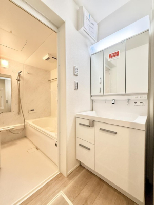 ���ʑ�E���ʏ� ���������̏������X���[�Y�ɂł���L���ł�