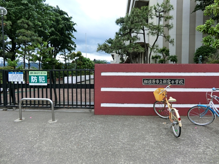 ���ӊ� ���w�Z 900m ���͌��s���V�h���w�Z