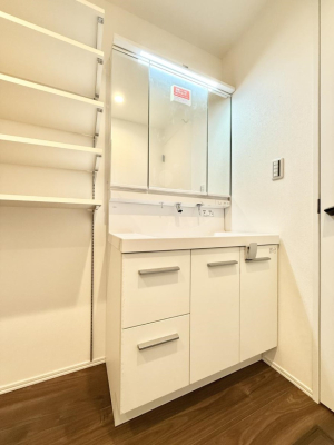 ���ʑ�E���ʏ� �������������Ő������̂�����ʏ�