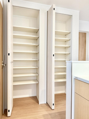 ���̑� �������������������ȃL�b�`������ɕ֗��ȑ�e�ʂ̃X���C�h���[  