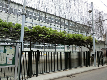 ���ӊ� ���w�Z 600m ���s����쉄���w�Z