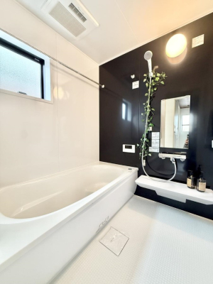 ���� ����