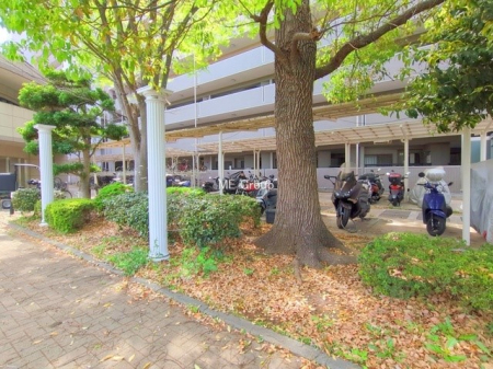 ���̑� �O�ρ����]�Ԃ��g�����Ƒ��ɂ����S�̒��փX�y�[�X��~�n���ɂ��p��