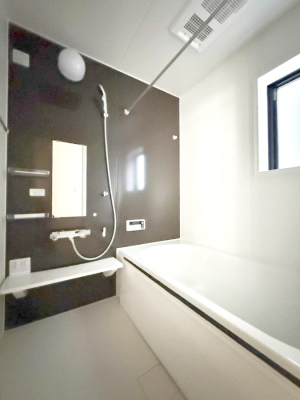 ���� �����������������F�����̕ǖʁA������芰����o�X���[��