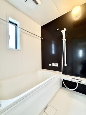 ���� �����������������F�����̕ǖʁA������芰����o�X���[��