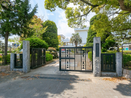 ���ӊ� ���w�Z 890m ���ˎs�������w�Z