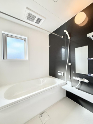 ���� �����������������F�����̕ǖʁA������芰����o�X���[��