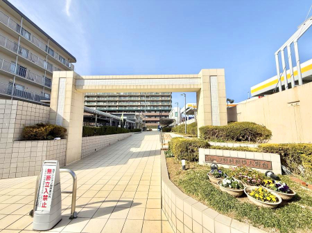 �G���g�����X �O��