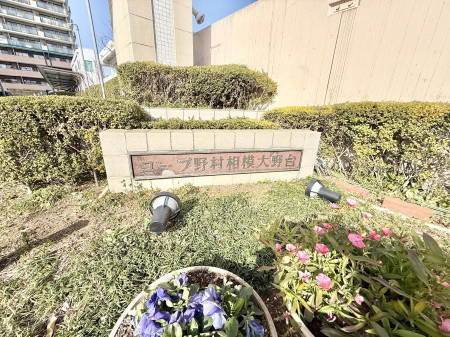 ���̑� �O��